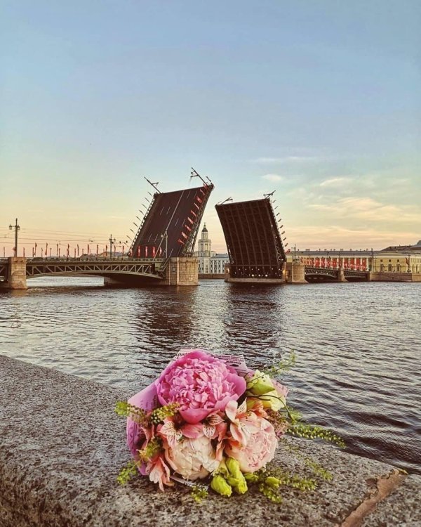 Доброе питерское утро