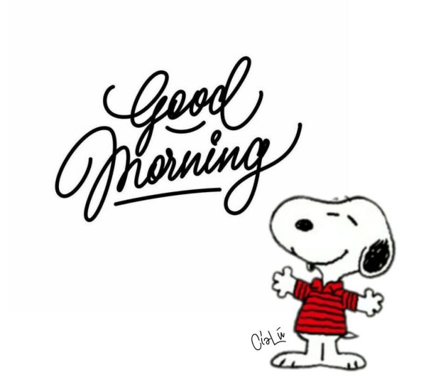 Доброе питерское утро