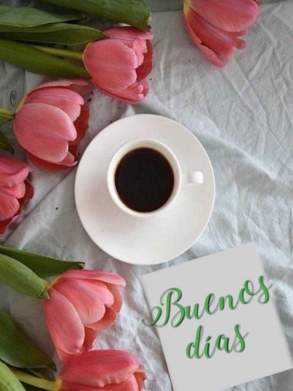 Доброе питерское утро