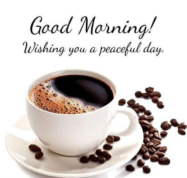 Доброе питерское утро