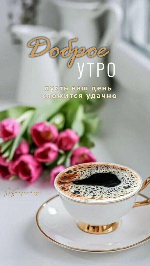 Доброе питерское утро