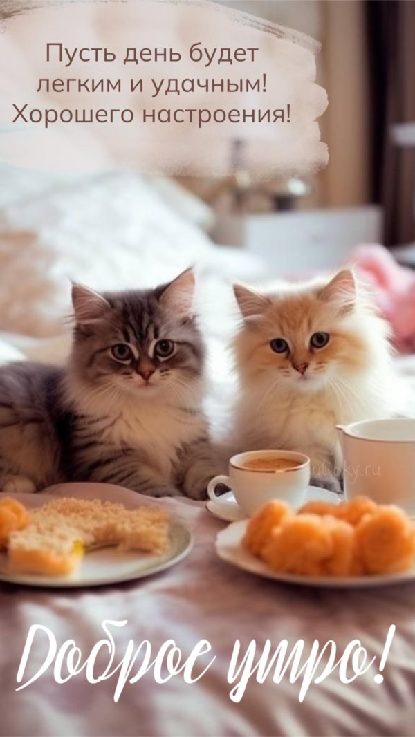 Доброе питерское утро