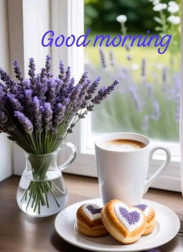 Доброе питерское утро