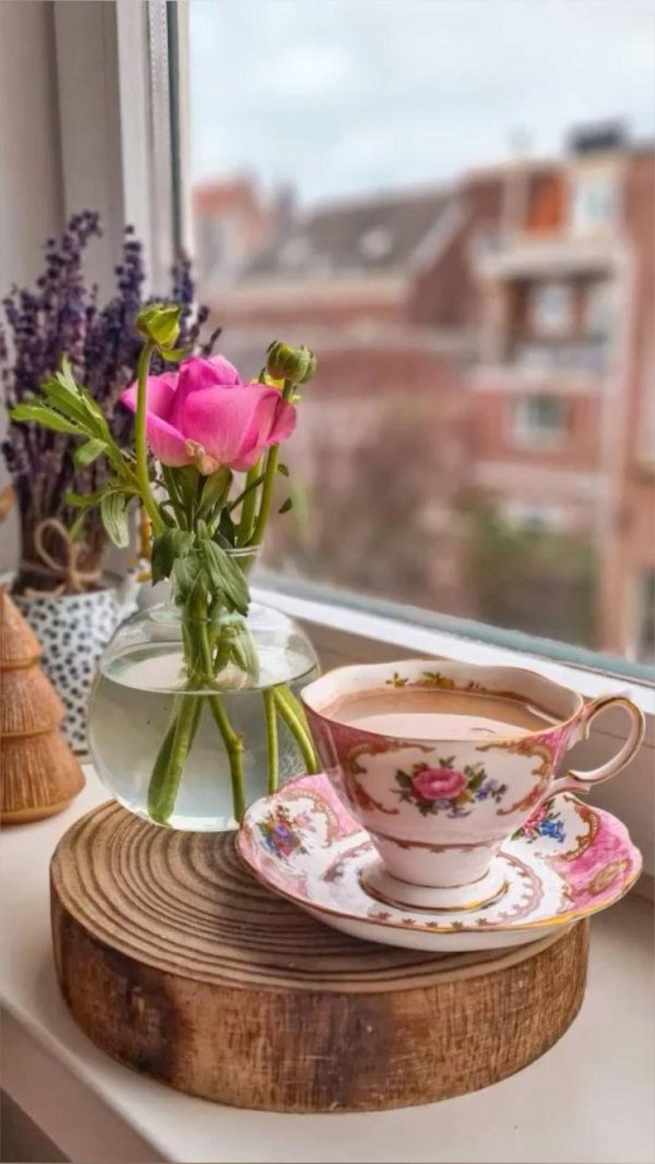 Доброе питерское утро