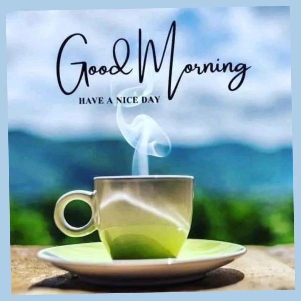 Доброе питерское утро