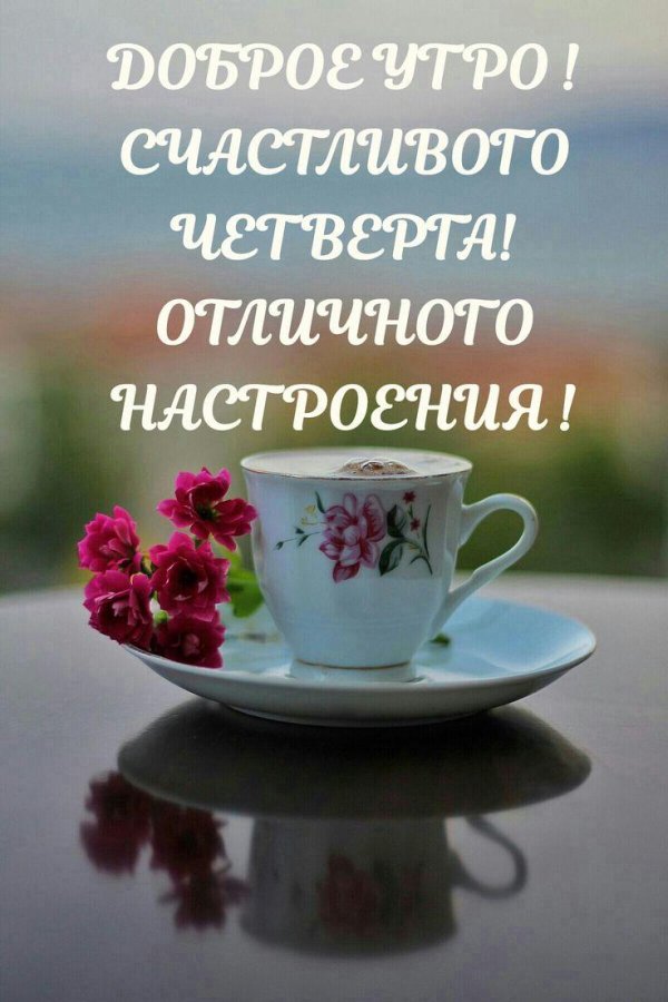 Доброе питерское утро