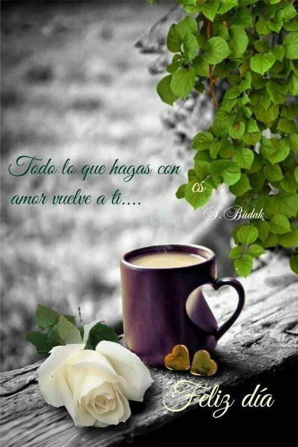 Доброе питерское утро