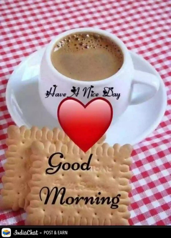 Доброе питерское утро