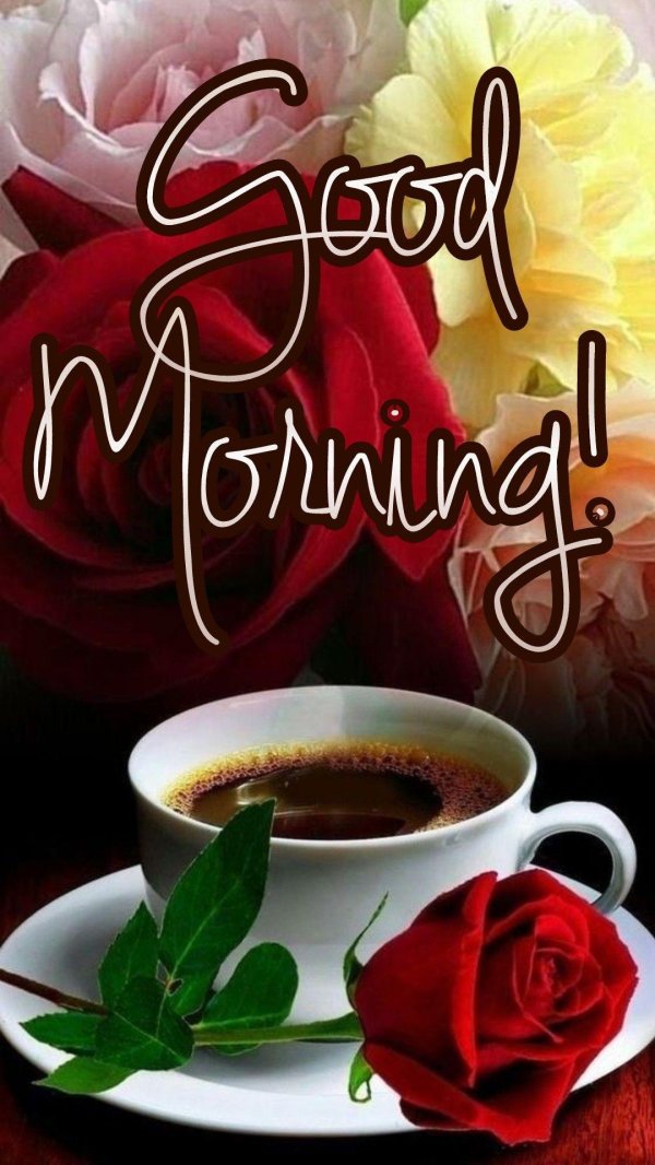 Доброе питерское утро