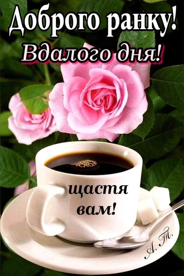 Доброе питерское утро