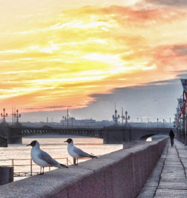 Доброе питерское утро