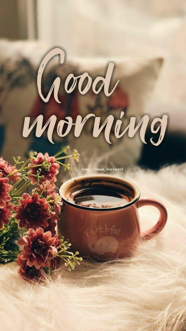 Доброе питерское утро