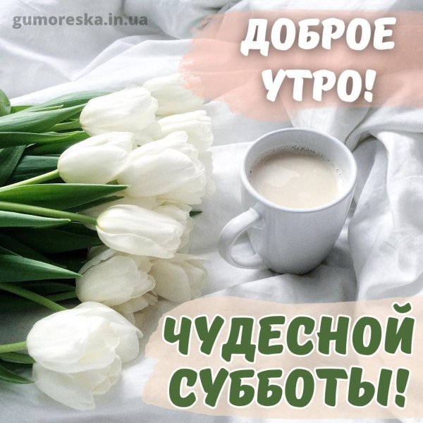 Доброе питерское утро