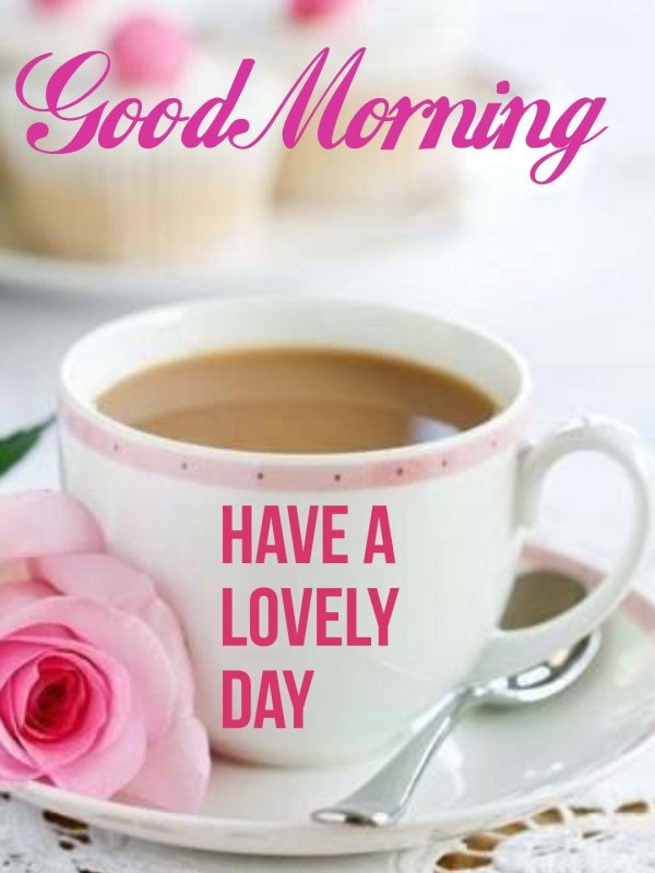 Доброе питерское утро