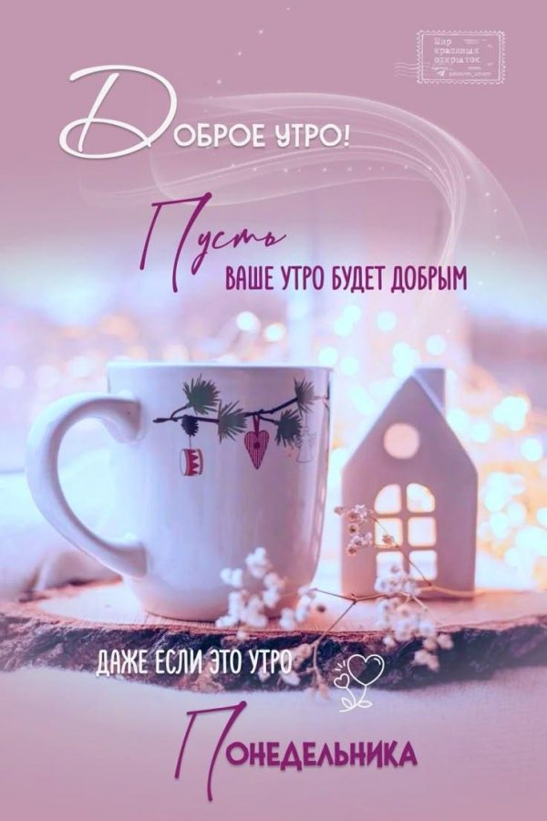 Доброе питерское утро