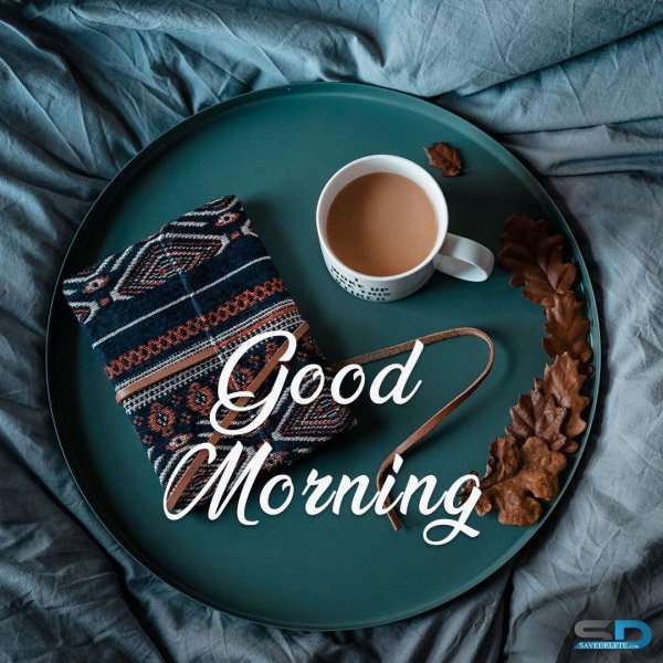 Доброе питерское утро