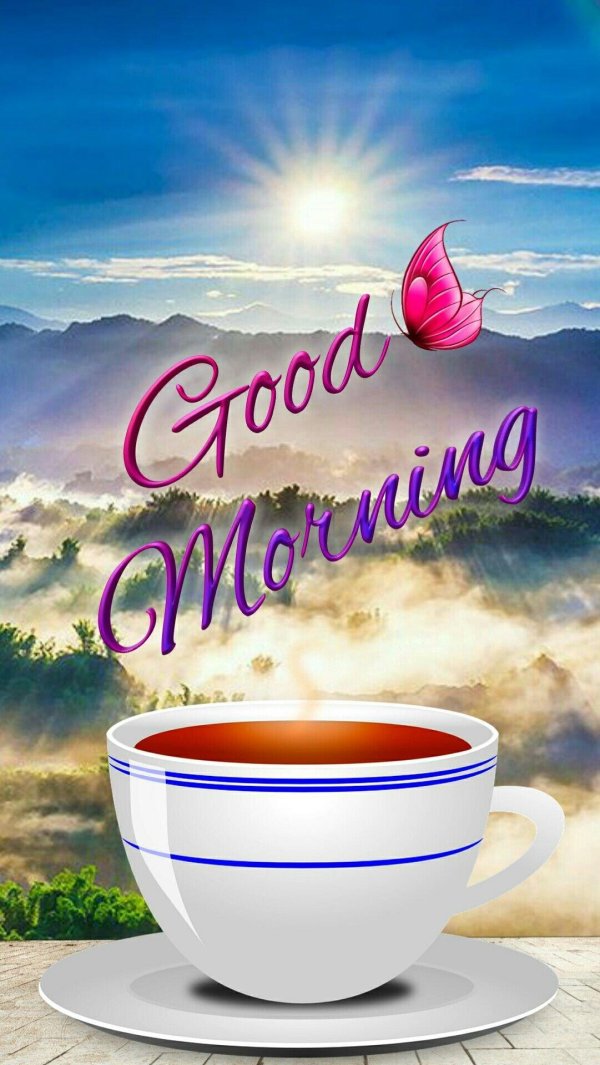 Доброе питерское утро