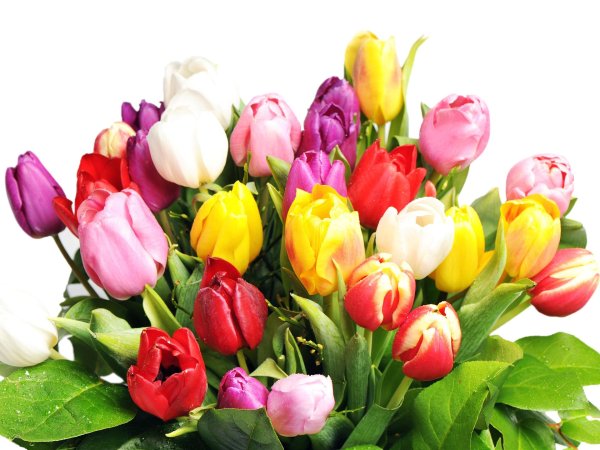 Днем рождения катюша