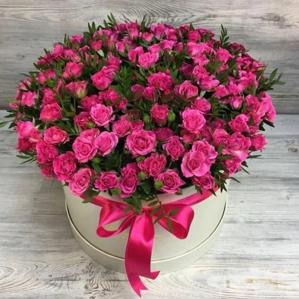 Днем рождения катюша