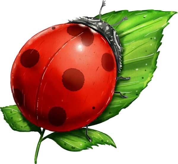 С божьей коровкой