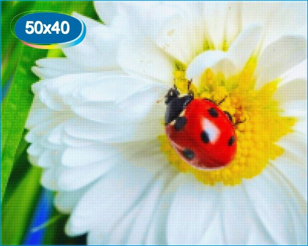 С божьей коровкой