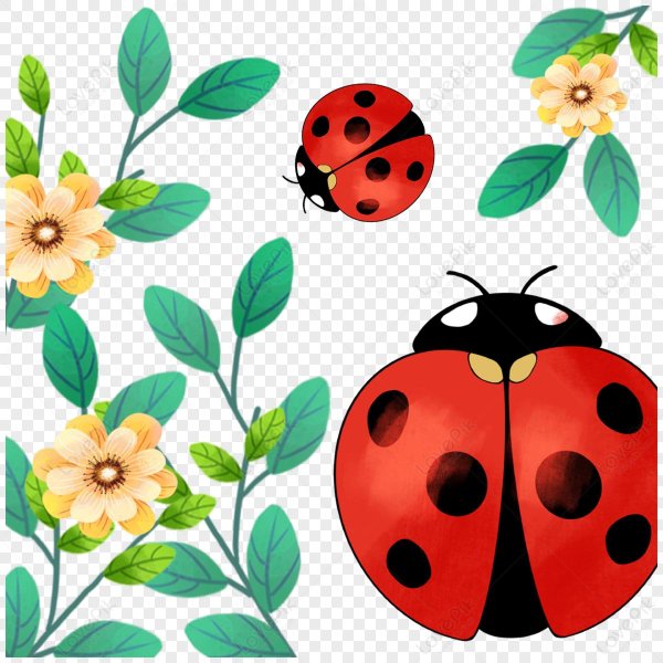 С божьей коровкой