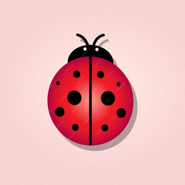 С божьей коровкой