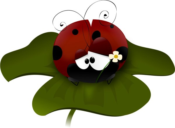 С божьей коровкой