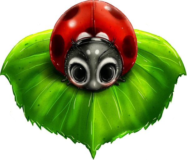 С божьей коровкой