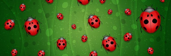 С божьей коровкой