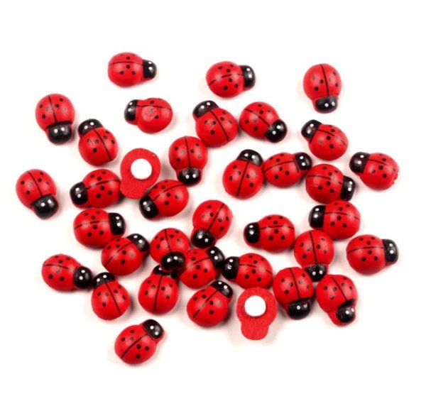 С божьей коровкой