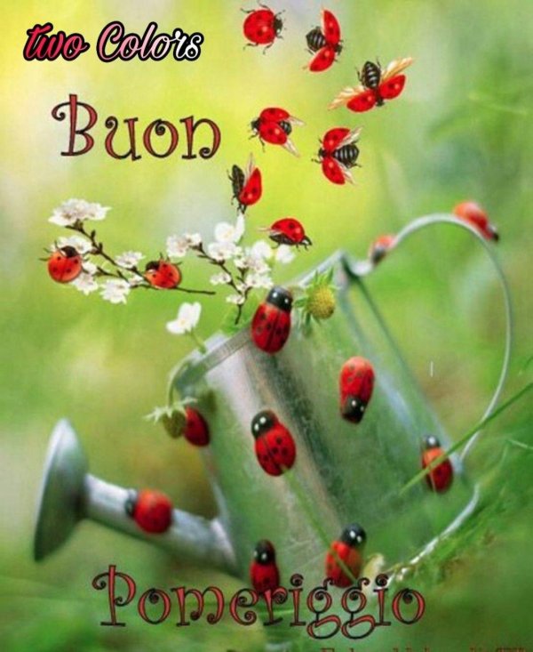 С божьей коровкой