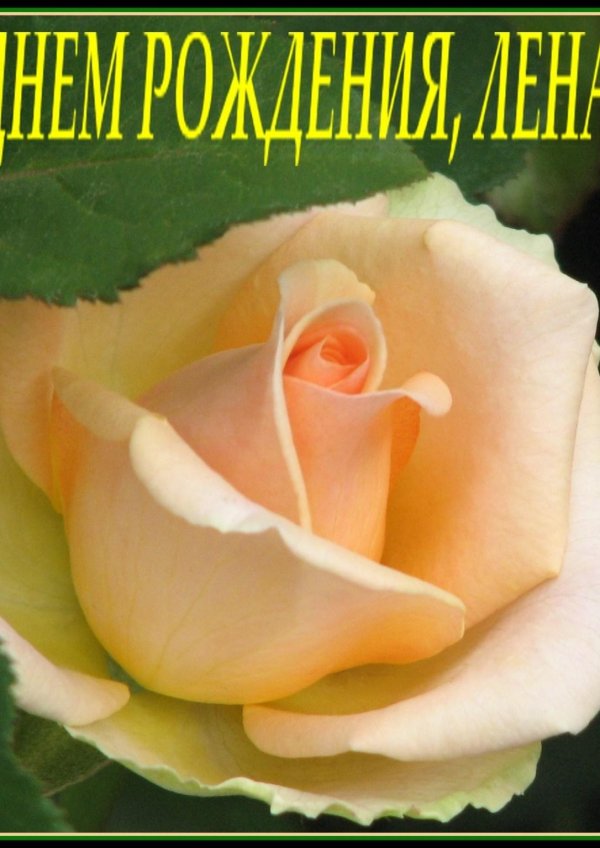 С именем елена