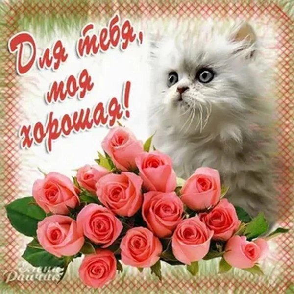 С именем елена