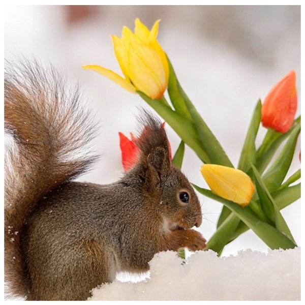 Хорошей субботы весенние