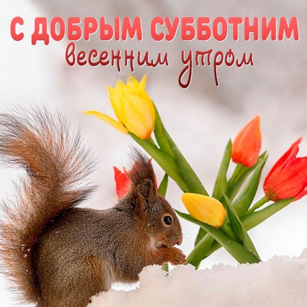 Хорошей субботы весенние
