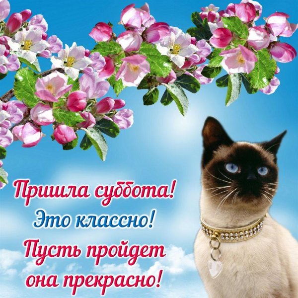 Хорошей субботы весенние