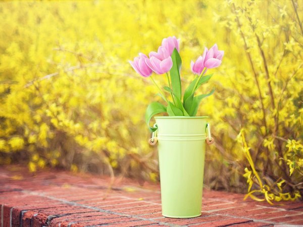 Хорошей субботы весенние