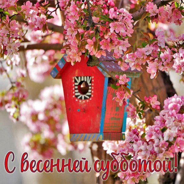 Хорошей субботы весенние