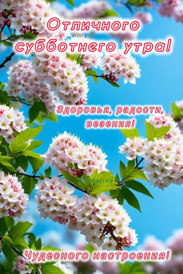 Хорошей субботы весенние