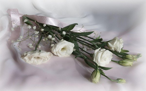 Света с юбилеем