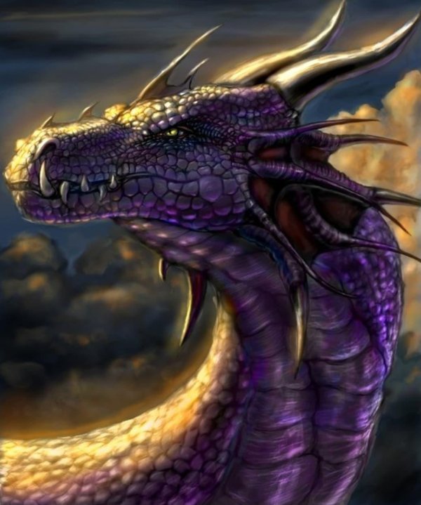 Драконов на аватарку