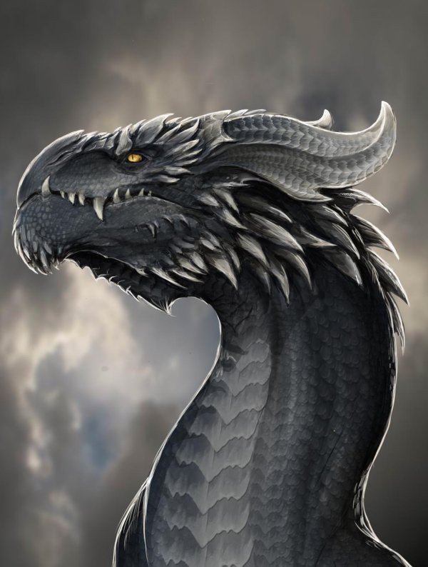 Драконов на аватарку