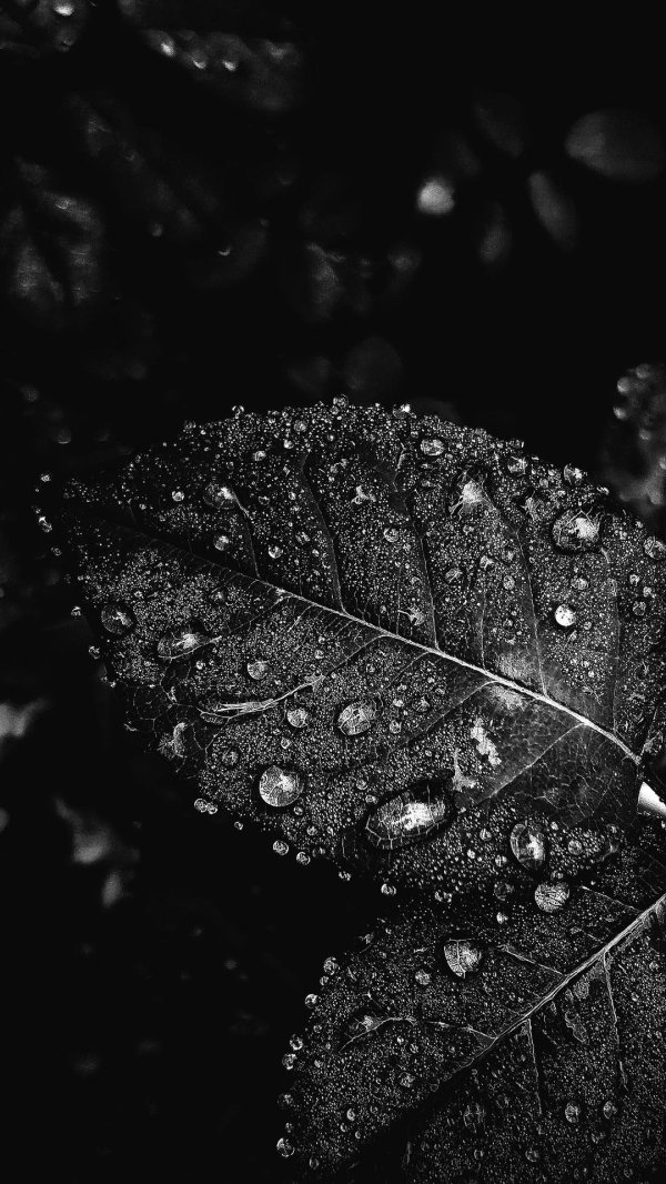 Темные на обои