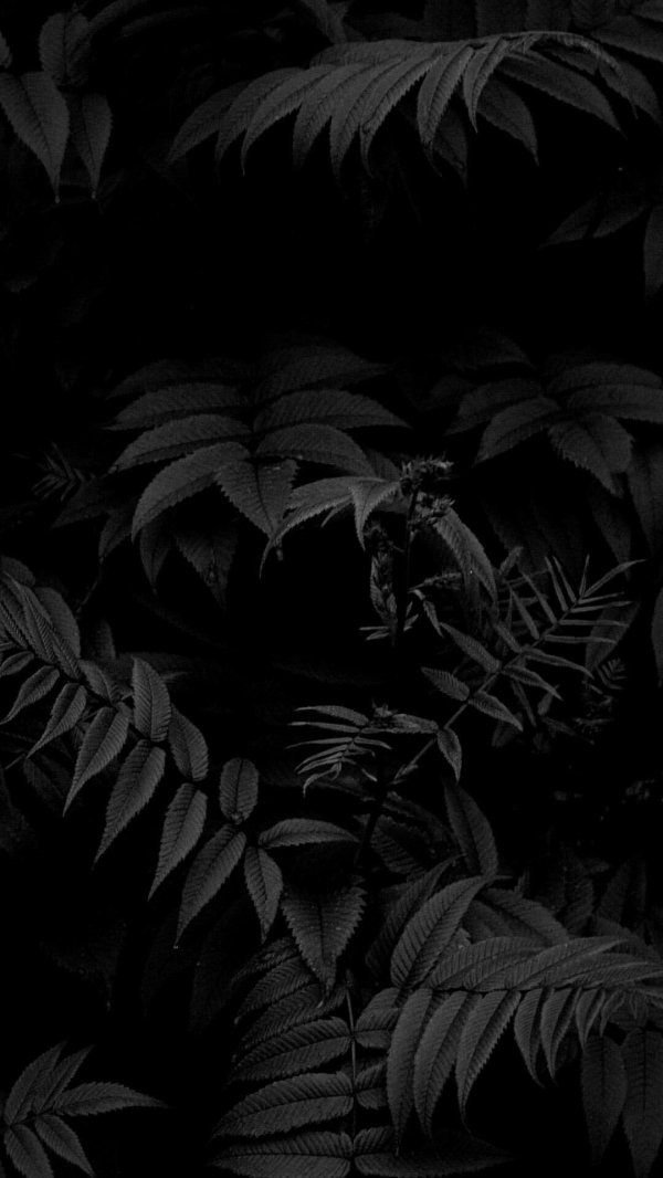 Темные на обои