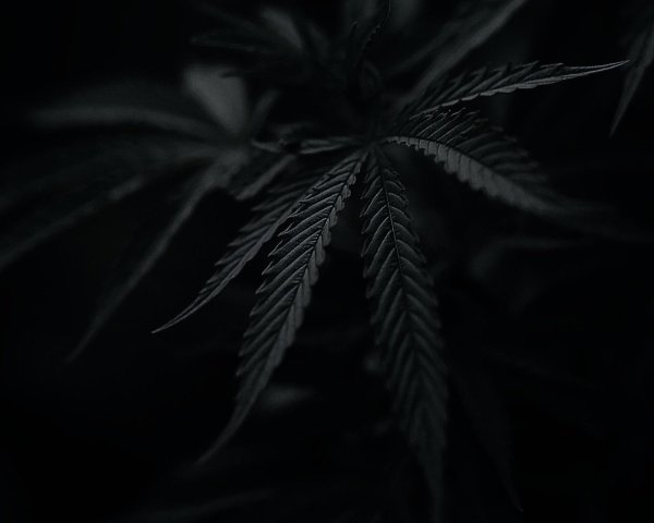 Темные на обои