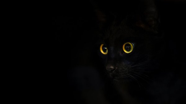 Темные на обои