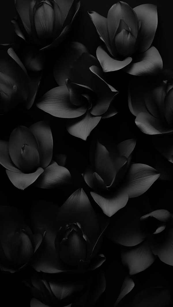 Темные на обои