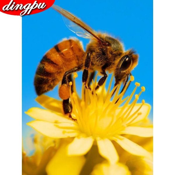 Пчелы и мед