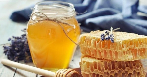 Пчелы и мед